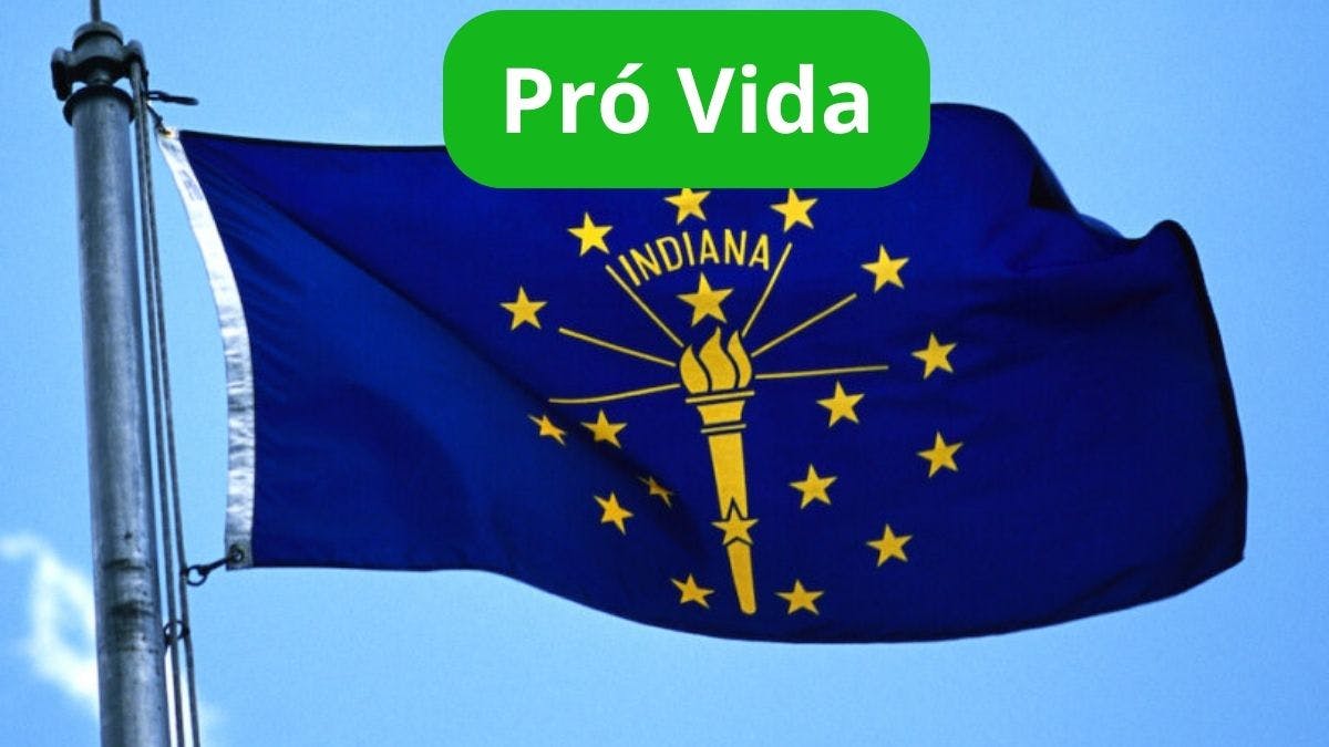 Indiana Promete Erradicar 95% Dos Abortos