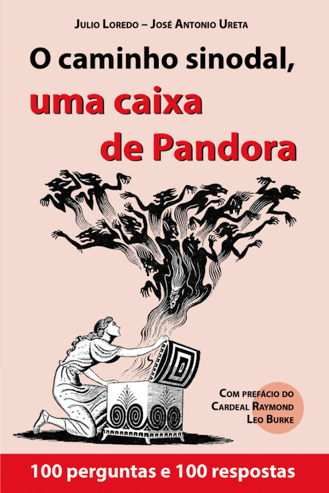 Capa da edição brasileira do livro: O caminho sinodal, uma caixa de Pandora.