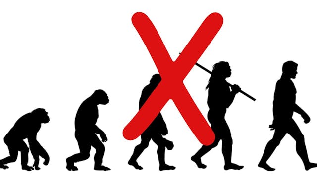 Criacionismo X impostura da Evolução de Darwin